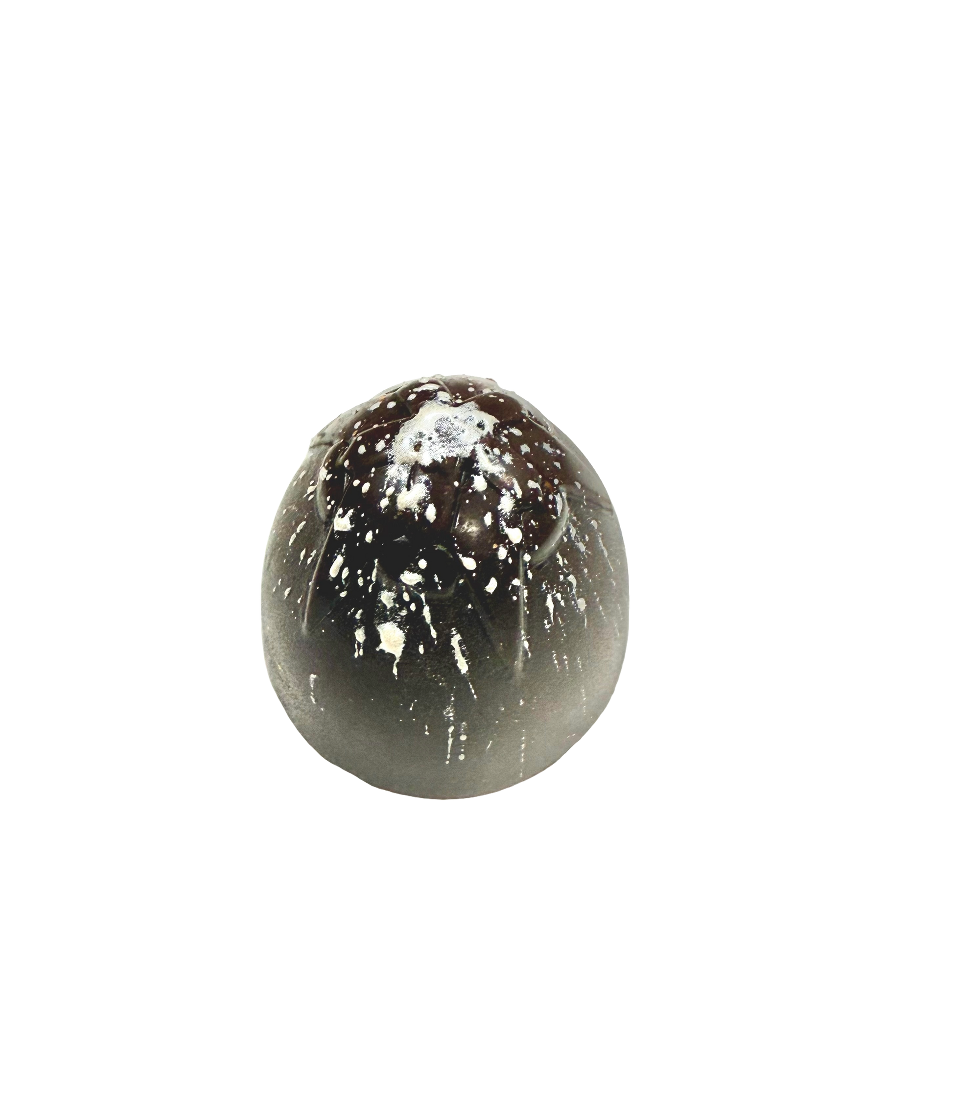 Tipsy Caramel Collection